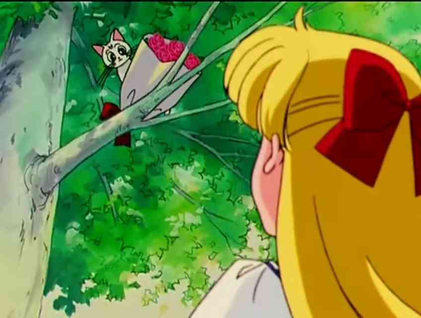 セーラームーン好きなひとー？