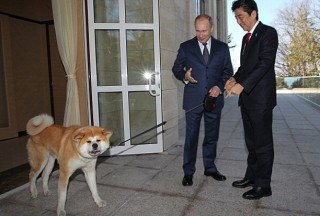 プーチン好きな人、画像貼るトピ