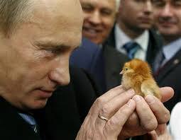 プーチン好きな人、画像貼るトピ