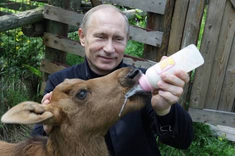 プーチン好きな人、画像貼るトピ