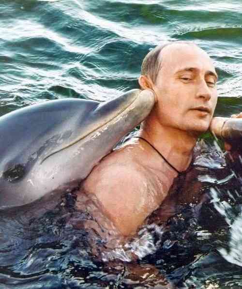 プーチン好きな人、画像貼るトピ