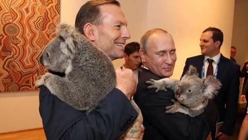 プーチン好きな人、画像貼るトピ
