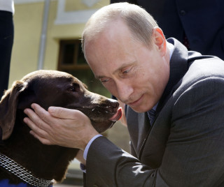 プーチン好きな人、画像貼るトピ