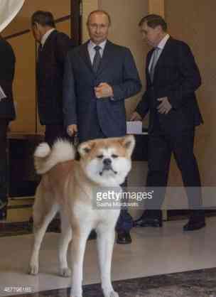 プーチン好きな人、画像貼るトピ