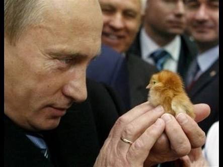 プーチン好きな人、画像貼るトピ