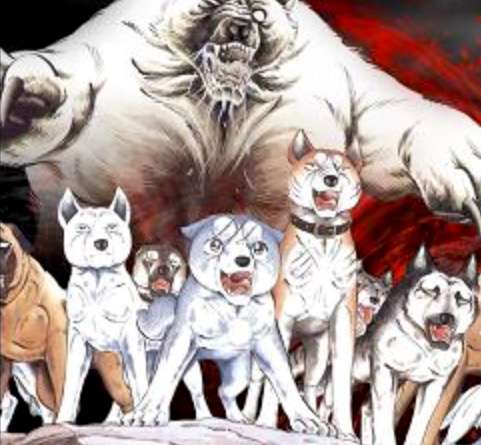 知ってるものに+、知らないものに-するトピ part4