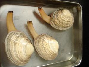 あさり料理法