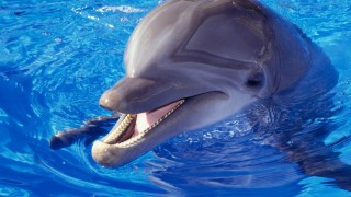 思わずプラスを付けたくなるコメントをしてみよう!