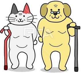 かかりつけの動物病院ありますか？