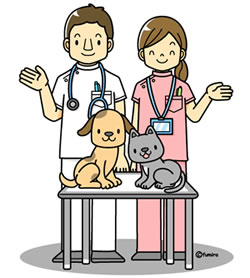 かかりつけの動物病院ありますか？