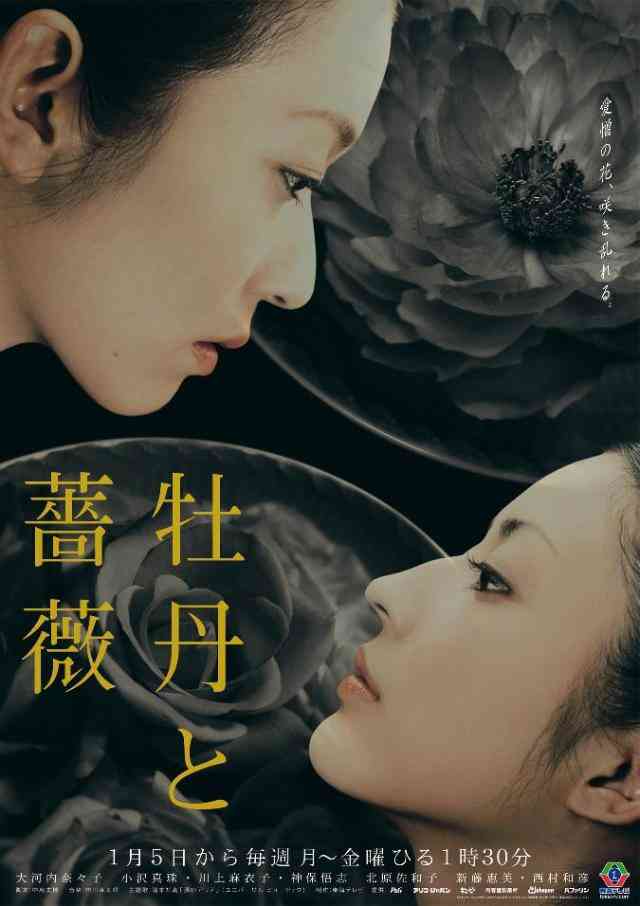 【実況・感想】新・牡丹と薔薇