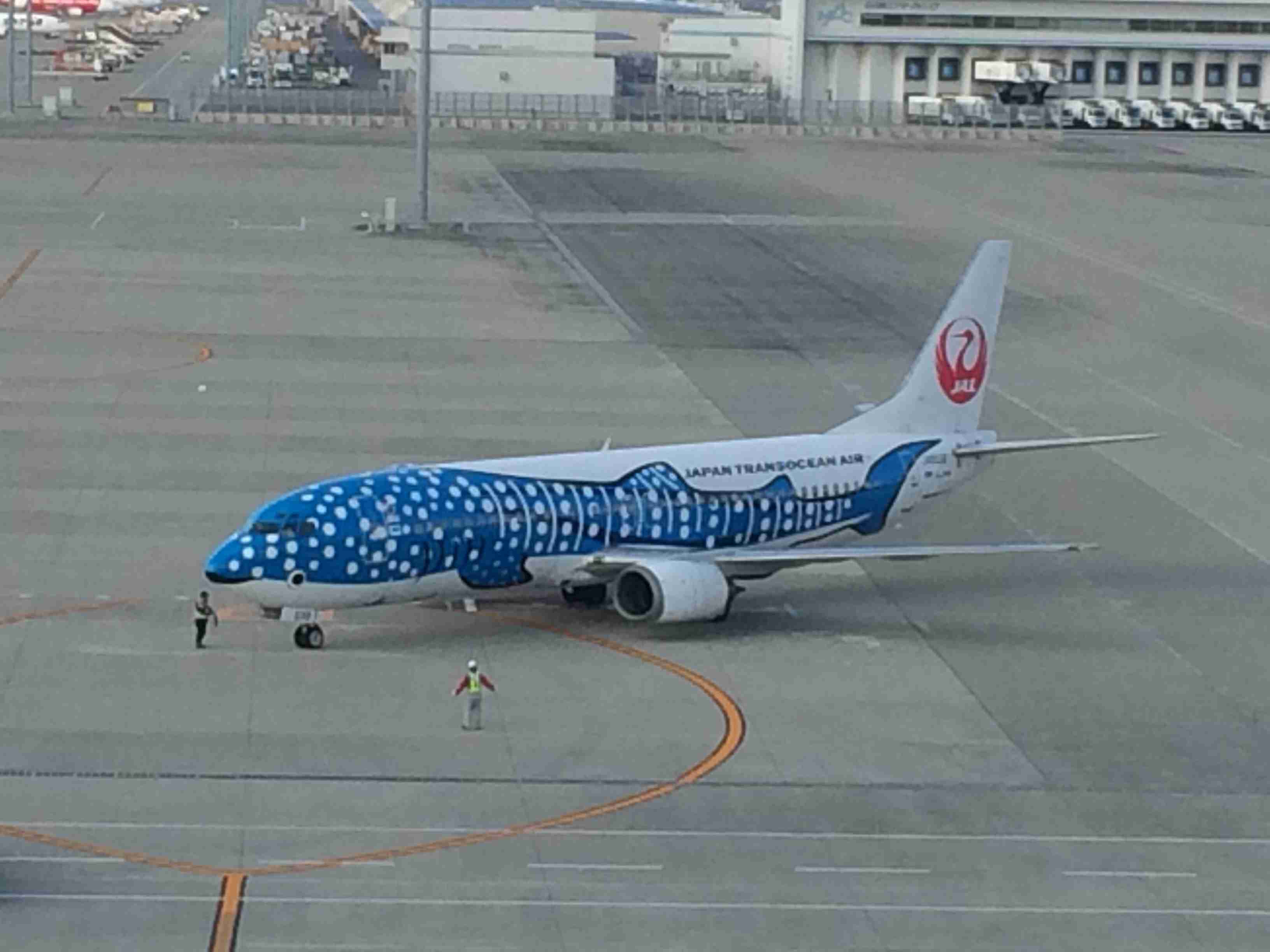 面白い飛行機の画像