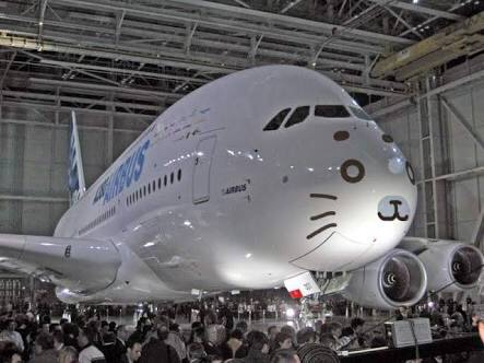 面白い飛行機の画像
