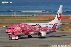面白い飛行機の画像