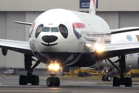 面白い飛行機の画像