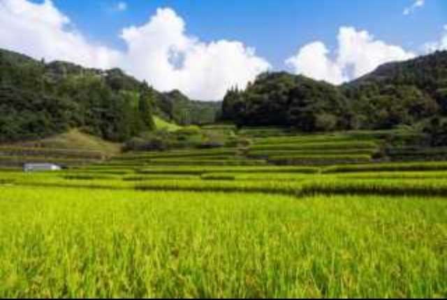 癒される田舎の風景