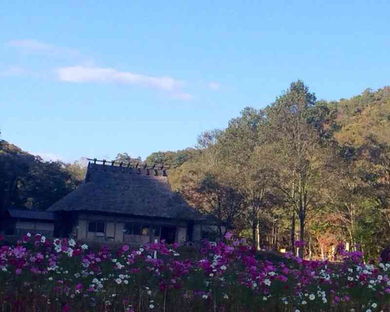 癒される田舎の風景