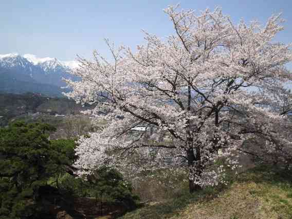 癒される田舎の風景