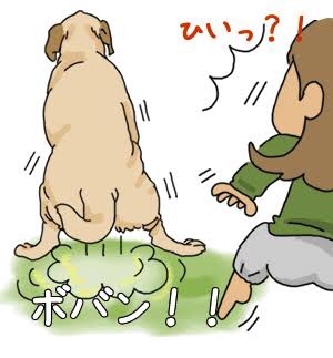 飼い猫と飼い犬の種類はなんですか?