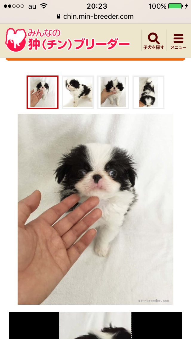 飼い猫と飼い犬の種類はなんですか?