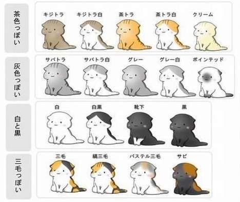 飼い猫と飼い犬の種類はなんですか?