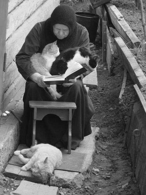 甘えている動物の写真をください