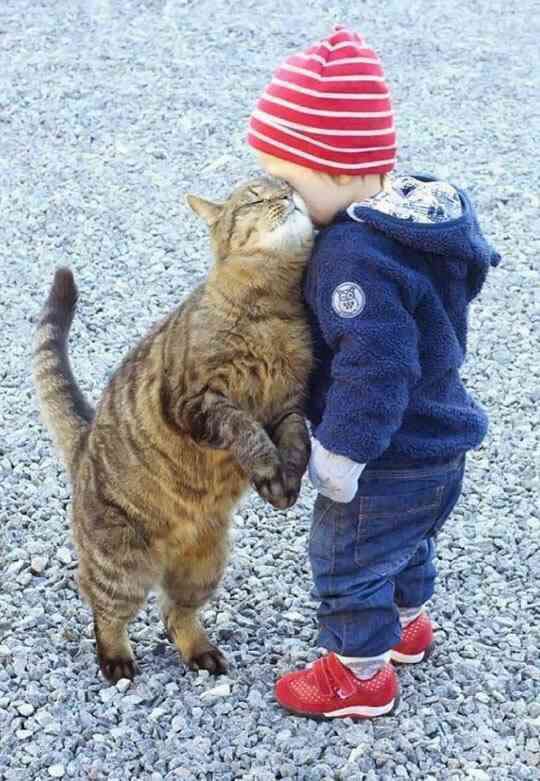 甘えている動物の写真をください