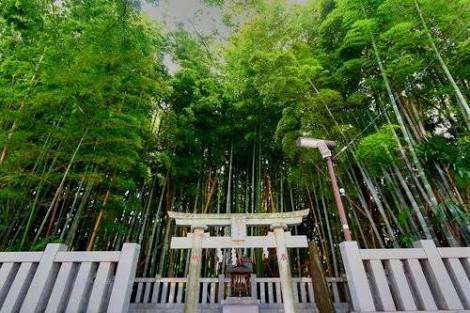 【閲覧注意】日本で絶対に行ってはいけない場所