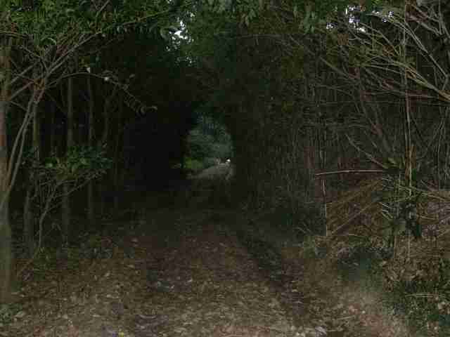 【閲覧注意】日本で絶対に行ってはいけない場所