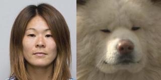 似てると思うモノ
