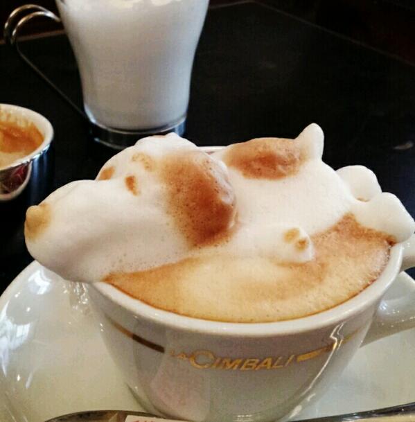 ラテアートの画像を貼るトピ