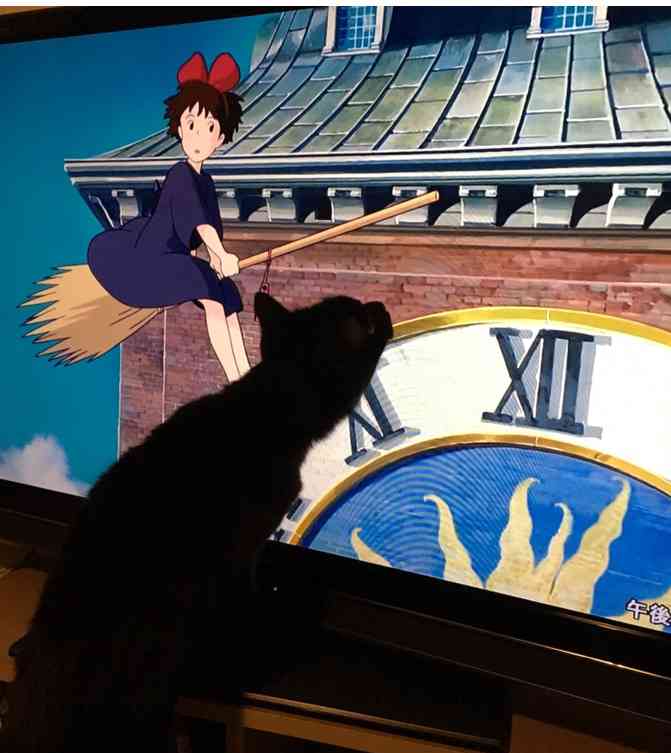 実況 感想 金曜ロードshow 魔女の宅急便 ガールズちゃんねる Girls Channel