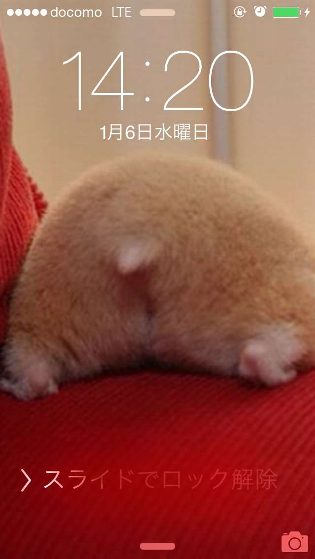 ロック画面画像を貼るトピ！
