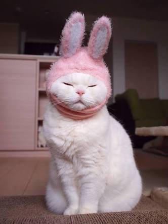 ロック画面画像を貼るトピ！