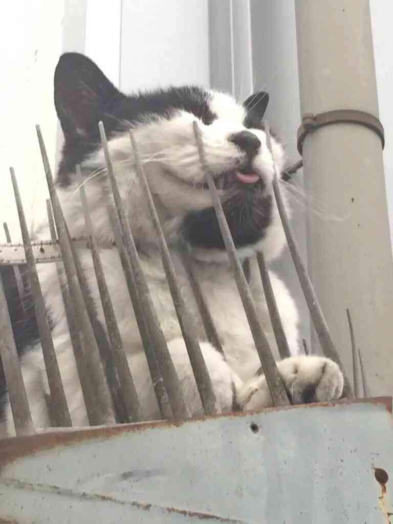 ロック画面画像を貼るトピ！