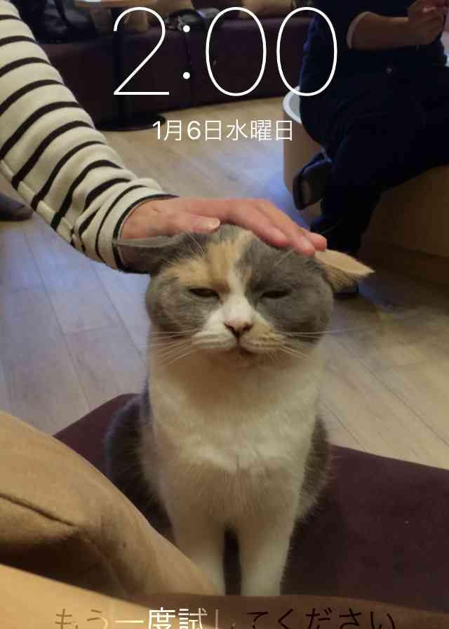 ロック画面画像を貼るトピ！