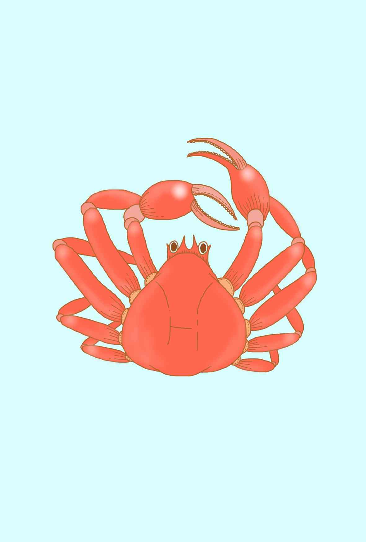 オススメのお絵描きアプリ