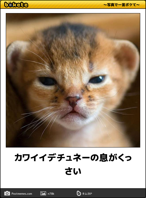 不機嫌な顔が集まるトピ