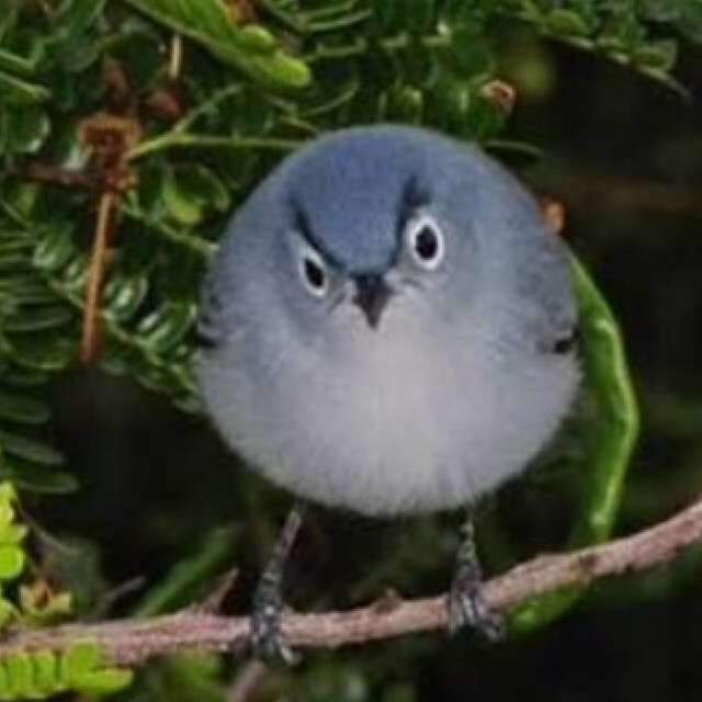 不機嫌な顔が集まるトピ