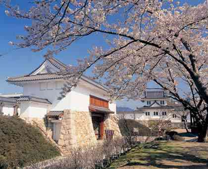 春の京都旅行