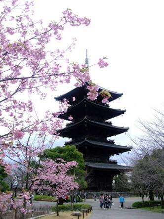 春の京都旅行