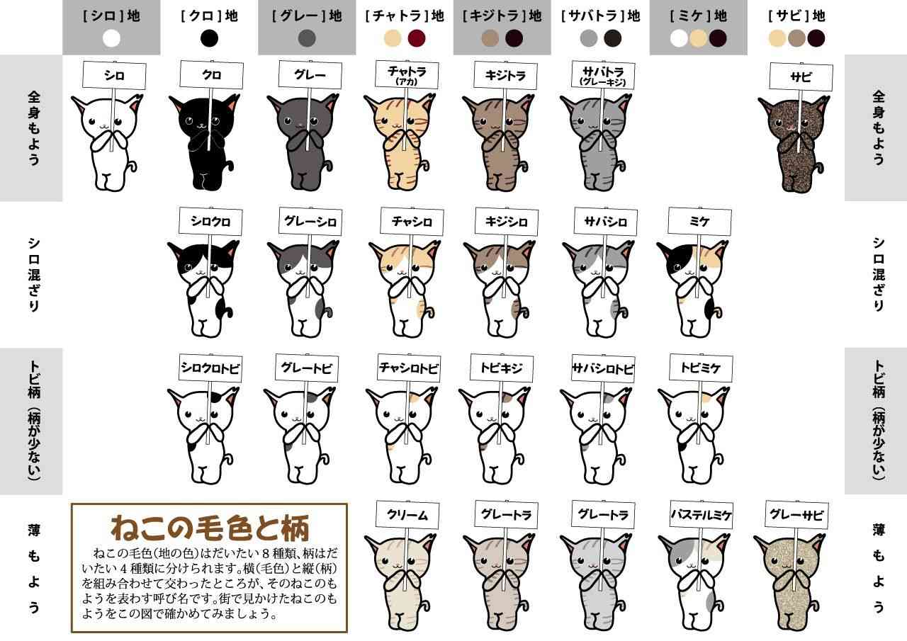 安心する言葉
