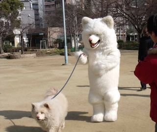動物の癒し系画像トピ