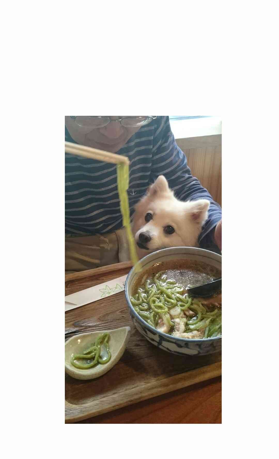 動物の癒し系画像トピ
