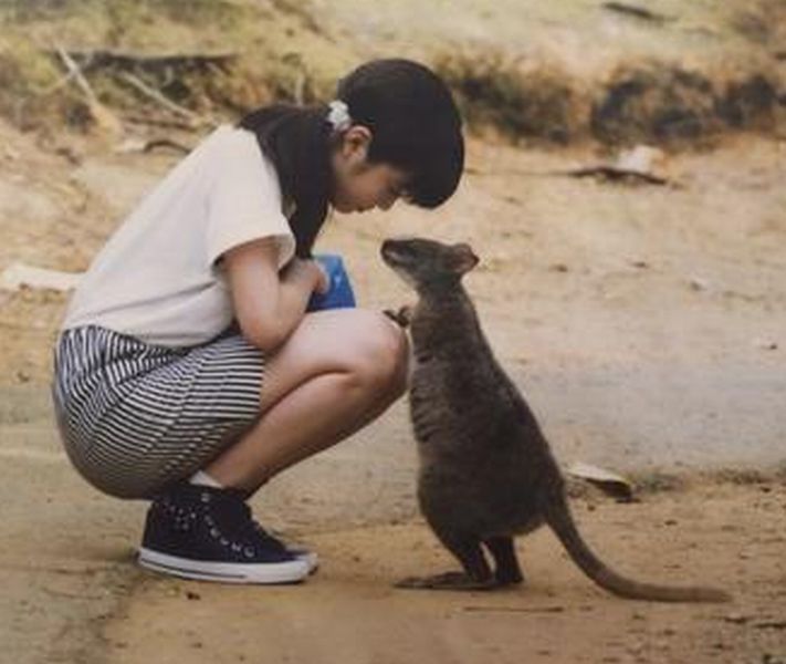 動物の癒し系画像トピ