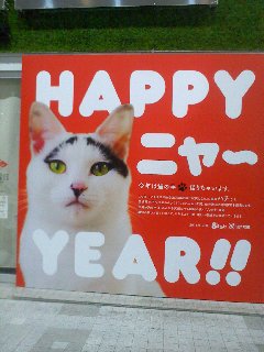 動物の癒し系画像トピ
