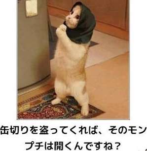 動物の癒し系画像トピ