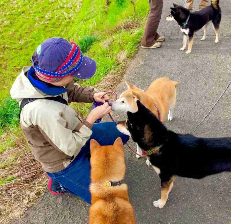 動物の癒し系画像トピ