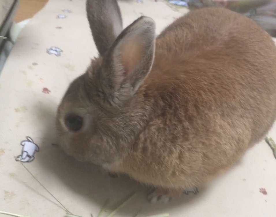 今生きるのが辛い人。