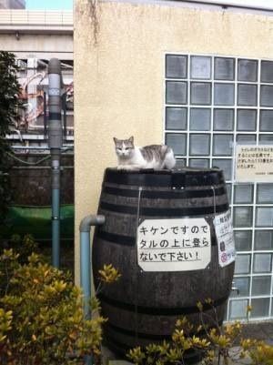 最近笑ってない人。